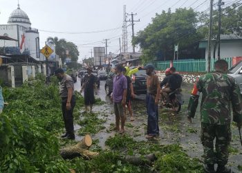 Polsek Wanea Evakuasi Pohon Tumbang di Tingkulu Manado