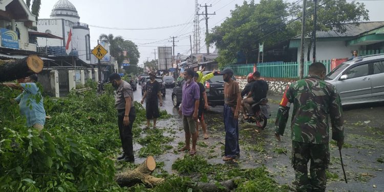 Polsek Wanea Evakuasi Pohon Tumbang di Tingkulu Manado