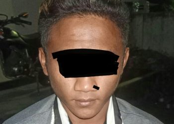 Ini Kata Kabid Humas Polda, Terkait Penyebab Penganiayaan di Madidir 