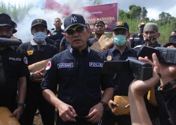 Bareskrim Polri Musnahkan 5 Hektare Ladang Ganja di Sumut