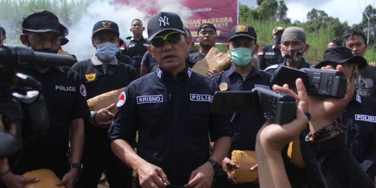 Bareskrim Polri Musnahkan 5 Hektare Ladang Ganja di Sumut