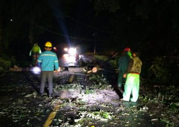 Respon Cepat Laporan Warga, Polisi Bersama Unsur Terkait Evakuasi 2 Pohon Tumbang di Tinoor