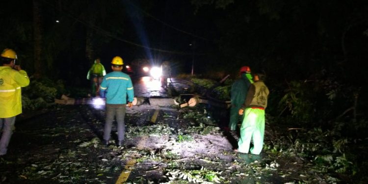 Respon Cepat Laporan Warga, Polisi Bersama Unsur Terkait Evakuasi 2 Pohon Tumbang di Tinoor