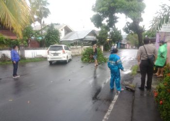 Respons Cepat, Polisi Lakukan Penanganan Pohon Tumbang di Manado