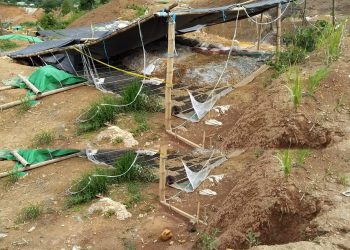 Peti Ditutup, Pemda-DPRD Terkait Harus Cari Solusi