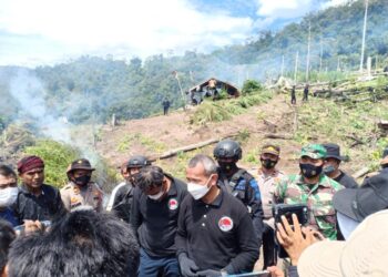 Polri Musnahkan 7 Haktare Ladang Ganja Di Gunung Lauser Dan Sita 592 Kg Ganja Kering