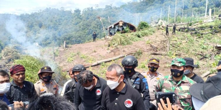 Polri Musnahkan 7 Haktare Ladang Ganja Di Gunung Lauser Dan Sita 592 Kg Ganja Kering