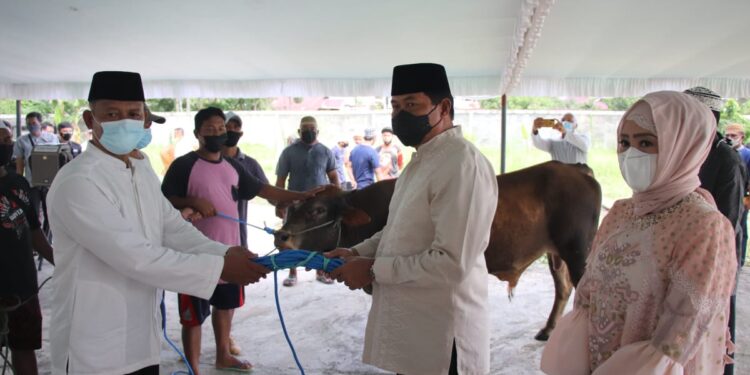 Kapolda Sulut Serahkan Hewan Qurban kepada Panitia Idul Adha 1442 H