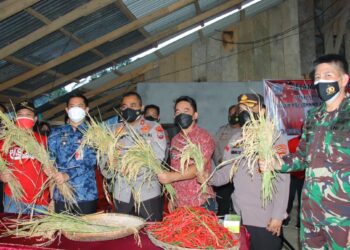 Wakapolda Sulut Gelar Pertemuan Dengan Forkopimda Minut dan Tinjau Kampung Tangguh Paslaten