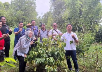 Dikunjungi PT PPI, Kopi Moanok Bakal Ke Belanda Bulan September 2022