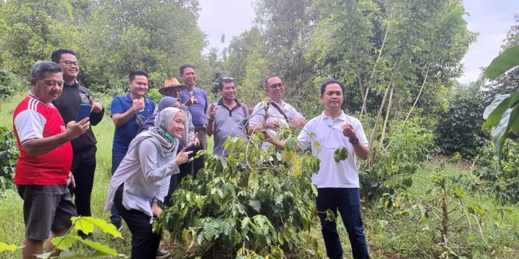 Dikunjungi PT PPI, Kopi Moanok Bakal Ke Belanda Bulan September 2022