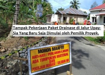 Mulai Running, Dinas PUPR Awasi 2 Paket Lelang dan 15 PL Proyek Drainase