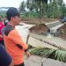 Ratusan Rumah Di 19 Desa Terendam, BPBD Terus Assesment Terdampak Banjir