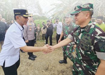 Sinegritas Pemda-TNI, Bupati Dampinggi Pangdam Tanam Jagung Perdana