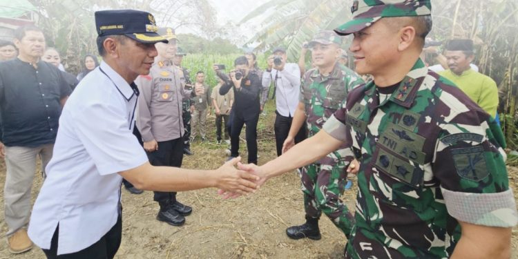 Sinegritas Pemda-TNI, Bupati Dampinggi Pangdam Tanam Jagung Perdana