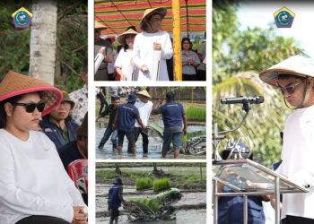 VIDEO : Gerakan Talaud Menanam Resmi Dicanangkan Bupati Welly Titah di Desa Ambela