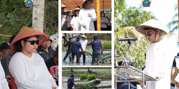 VIDEO : Gerakan Talaud Menanam Resmi Dicanangkan Bupati Welly Titah di Desa Ambela